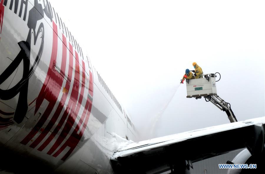 CHINA-SHANGHAI-AIRPORT-SNOWFALL (CN)