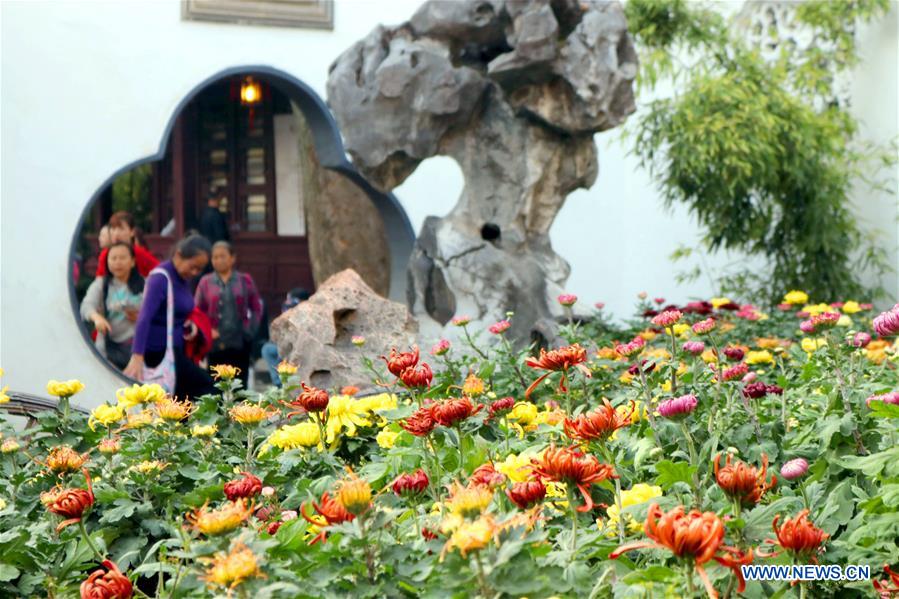 #CHINA-JIANGSU-SUZHOU-CHRYSANTHEMUM-EXHIBITION (CN)
