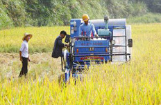 農(nóng)村改革:24個試驗(yàn)區(qū)允許政策和體制突破