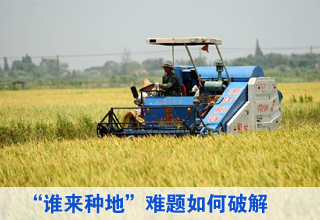 中國加速培育新型職業(yè)農(nóng)民破解“誰來種地”難題