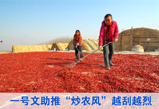 “一號文”倒計時 “炒農(nóng)風”進行式