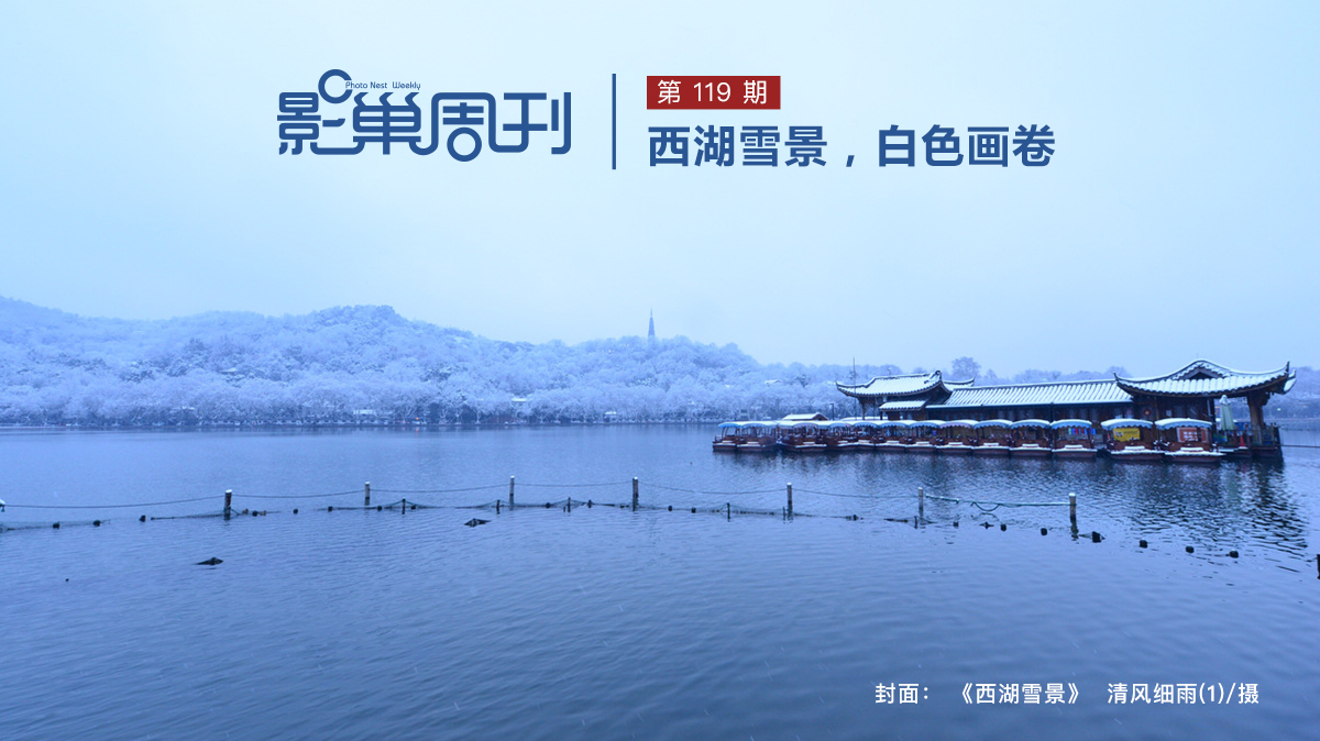 【影巢周刊】西湖雪景，白色畫卷