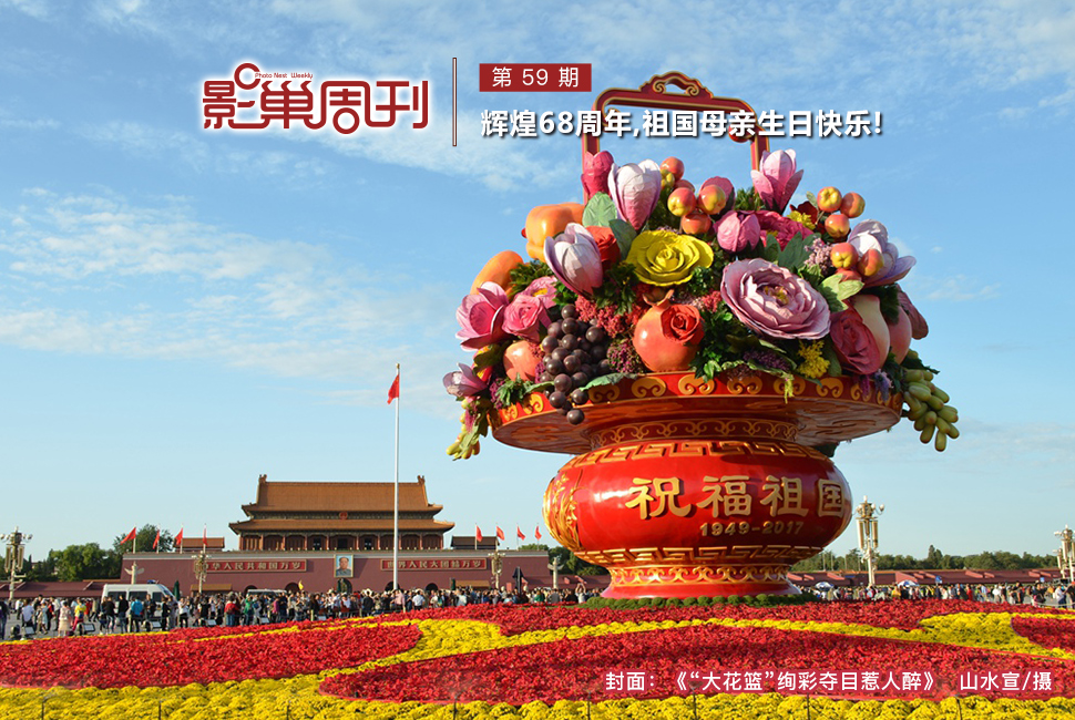 “大花籃”絢彩奪目惹人醉