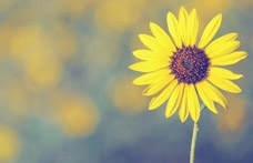 抗癌協(xié)會:對“癌癥性格”說“不”