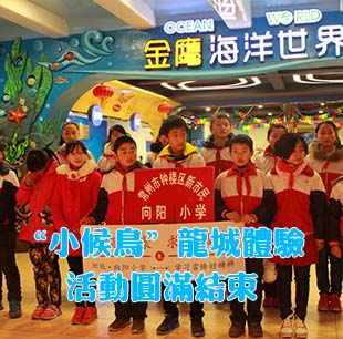 第52個學雷鋒日 “小候鳥”龍城體驗活動圓滿結束