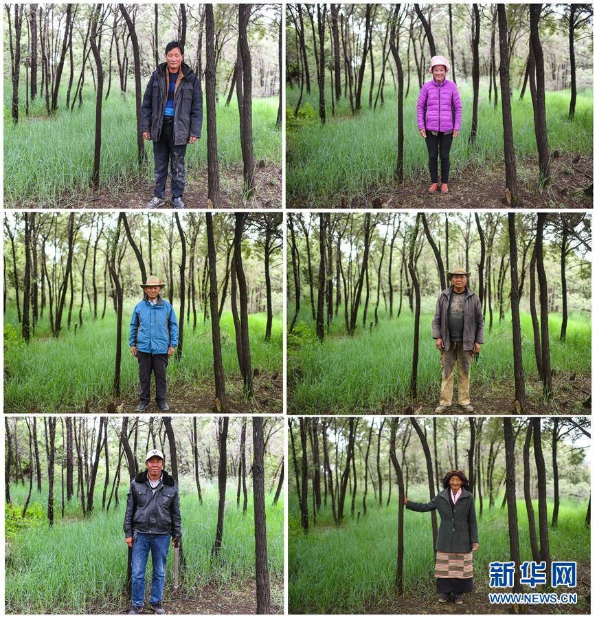 (十九大·讀報告 話民生)(9)加快生態文明體制改革,建設美麗中國