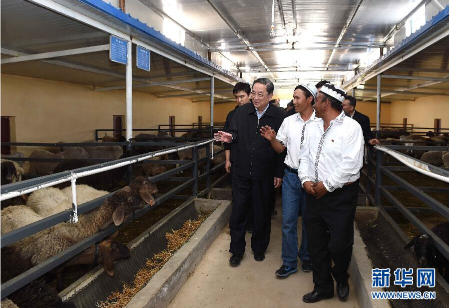 9月27日,中共中央政治局常委、全國政協(xié)主席、中央代表團(tuán)團(tuán)長俞正聲率中央代表團(tuán)部分成員赴喀什地區(qū)莎車縣看望各族干部群眾。這是俞正聲在新疆生產(chǎn)建設(shè)兵團(tuán)第三師莎車農(nóng)場實地察看萬只羊養(yǎng)殖基地。新華社記者 饒愛民 攝 9月27日,中共中央政治局常委、全國政協(xié)主席、中央代表團(tuán)團(tuán)長俞正聲率中央代表團(tuán)部分成員赴喀什地區(qū)莎車縣看望各族干部群眾。這是俞正聲在新疆生產(chǎn)建設(shè)兵團(tuán)第三師莎車農(nóng)場實地察看萬只羊養(yǎng)殖基地。新華社記者 饒愛民 攝