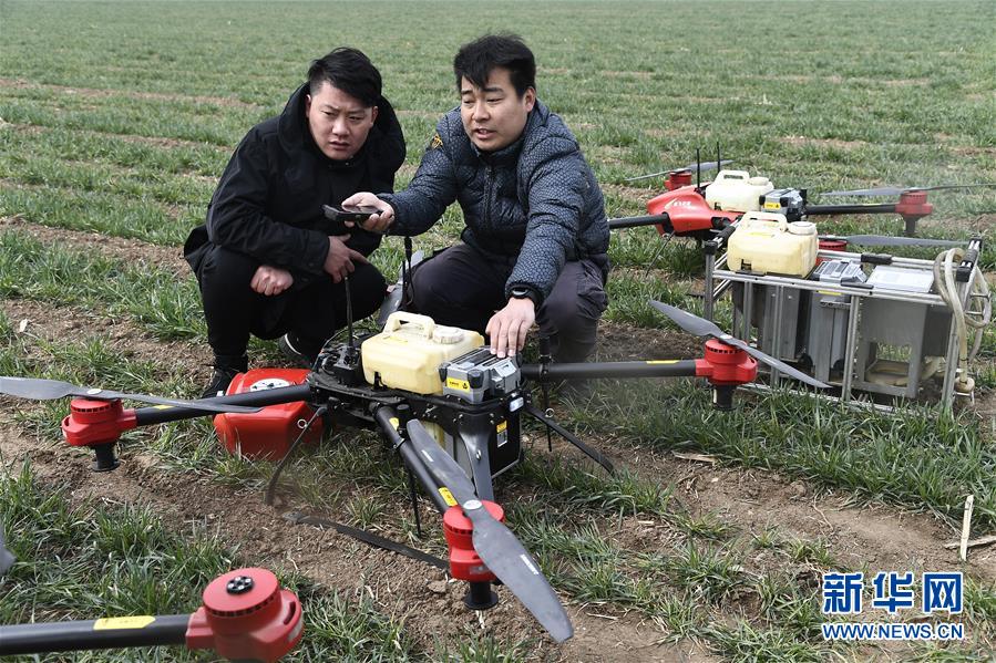 (新華全媒頭條·圖文互動)(2)希望田野上的職業農民