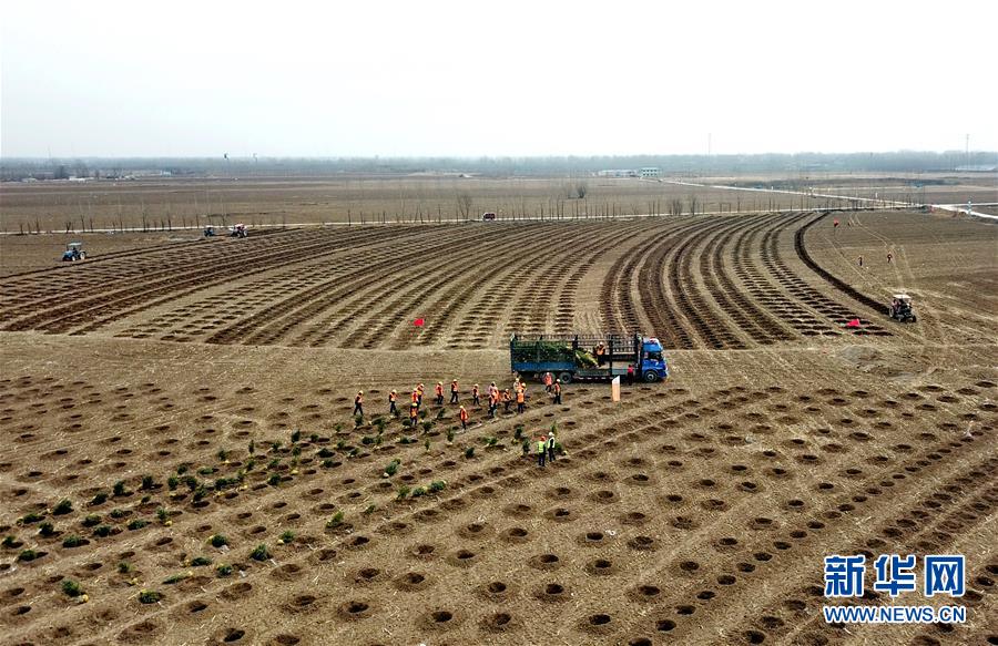 (新華全媒頭條·圖文互動)(6)奮進新時代 建設雄安城——以習近平同志為核心的黨中央謀劃指導《河北雄安新區規劃綱要》編制紀實