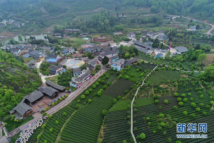(新華全媒頭條·圖文互動)(5)從脆弱生態到滿眼皆“綠”——國家生態文明試驗區貴州的“綠色之路”
