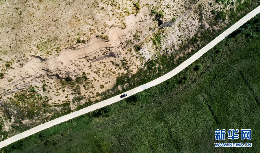 （壯闊東方潮 奮進(jìn)新時代——慶祝改革開放40年）（8）感受“毛烏素”的生機(jī)