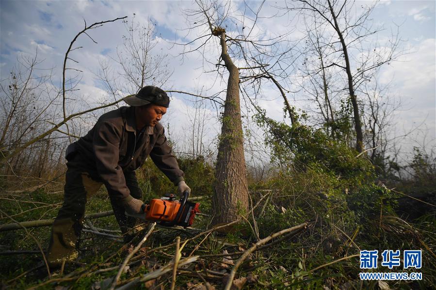 (大江奔流——來自長江經濟帶的報道·新華全媒頭條·圖文互動)(6)打造經濟高質量發(fā)展的強勁引擎——深入推動長江經濟帶發(fā)展述評