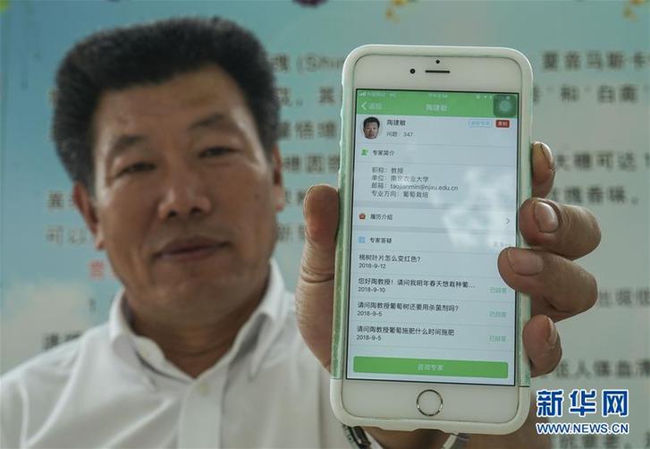 （豐收的味道·圖文互動）（3）露濃壓架葡萄熟——江蘇灌南縣葡萄產業“變身記”