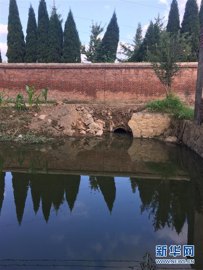 （新華視點·圖文互動）（3）上游洪水來襲下游魚蟹死亡，泄洪為何變泄污？