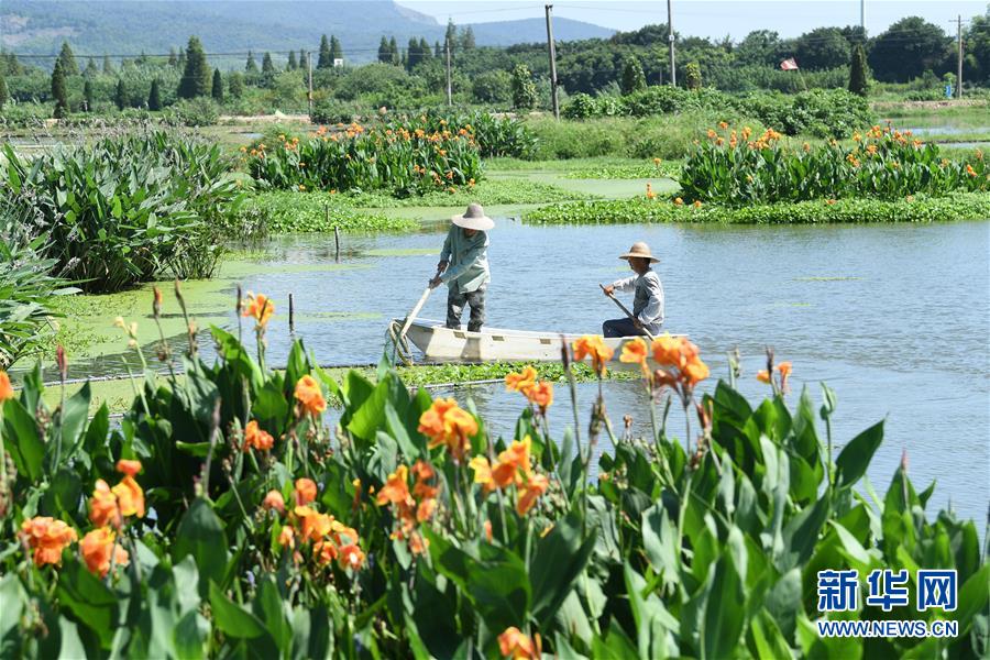 （新華全媒頭條·聚焦鄉(xiāng)村振興戰(zhàn)略規(guī)劃·圖文互動）（14）推進(jìn)鄉(xiāng)村振興的行動指南——解讀鄉(xiāng)村振興戰(zhàn)略首個五年規(guī)劃亮點