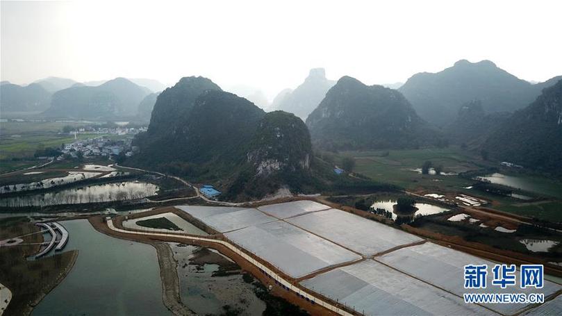(輝煌60年·壯美新廣西·圖文互動)(9)奮力書寫壯鄉(xiāng)反貧困歷史新篇章——廣西干部群眾接續(xù)奮斗脫貧攻堅觀察