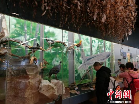 圖為展覽現(xiàn)場?！『h航 攝