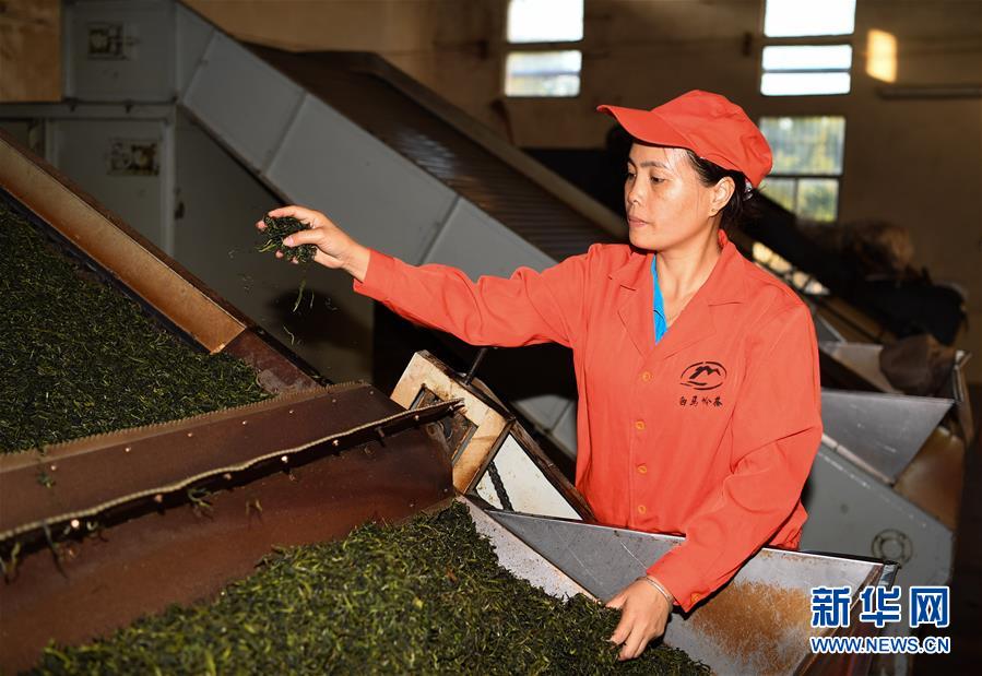 (兩會(huì)·基層代表履職故事)(7)全國(guó)人大代表符小琴:讓家鄉(xiāng)在改革開(kāi)放中發(fā)展得更好
