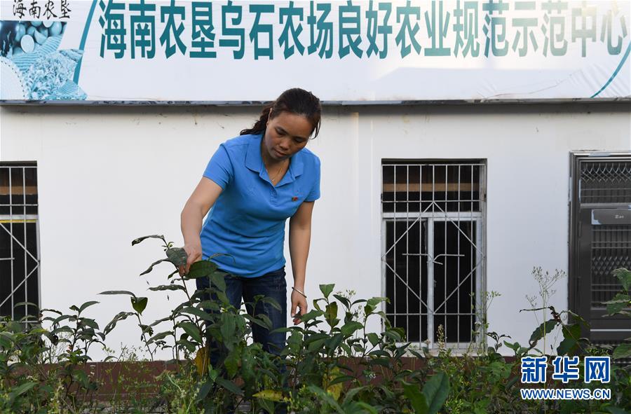 (兩會(huì)·基層代表履職故事)(6)全國(guó)人大代表符小琴:讓家鄉(xiāng)在改革開(kāi)放中發(fā)展得更好