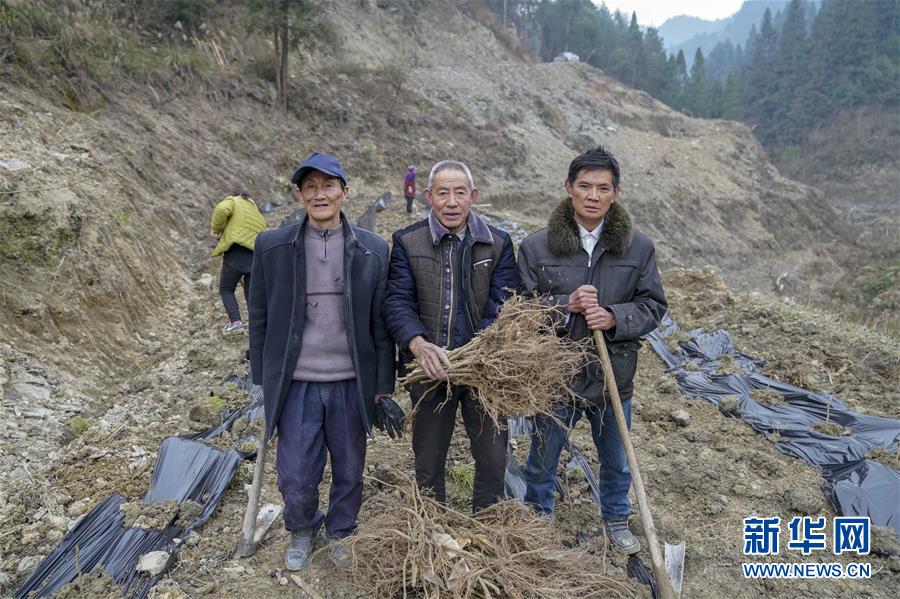 (新春走基層)(6)重慶黔江:土家三老漢 一臺“扶貧戲”
