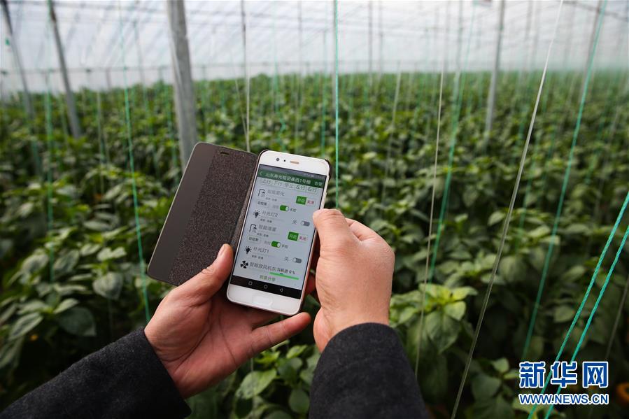 （新華全媒頭條·圖文互動）（8）聚焦高質量，躍上新臺階——新年開局看中國經濟信心和潛力