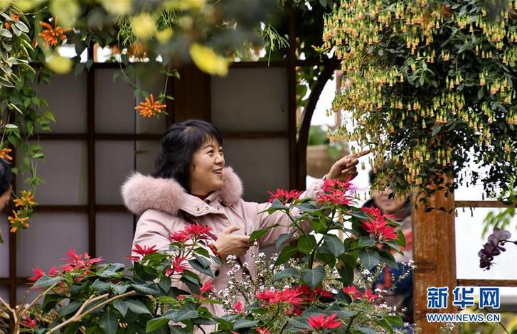 (社會)(3)北京:賞花卉 過春節