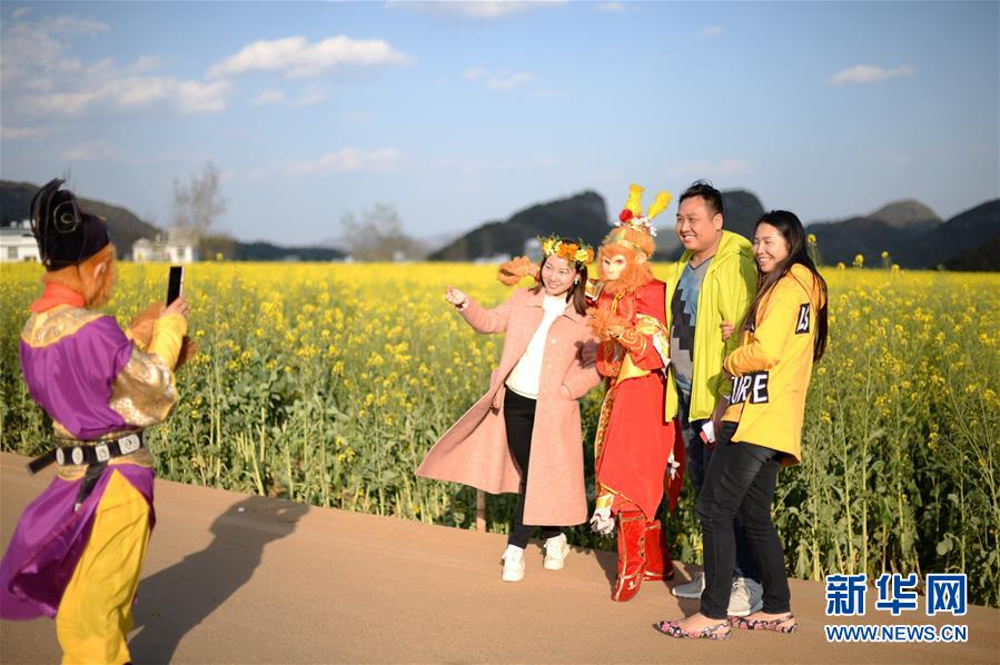 (在習(xí)近平新時代中國特色社會主義思想指引下——新時代新作為新篇章·圖文互動)(3)高原春來早 云嶺開新篇