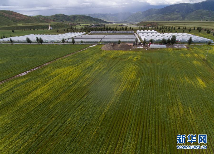 (兩會前夕看落實·圖文互動)(6)“飛針走線”“繡”出小康畫卷——四川落實習近平總書記全國兩會重要講話精神紀實