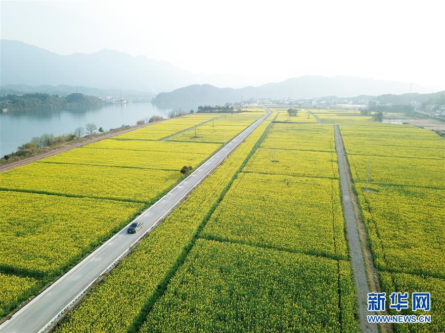 (新華全媒頭條·兩會精神看落實·圖文互動)(4)保持戰略定力 跨越重要關口——落實兩會精神加強生態文明建設述評