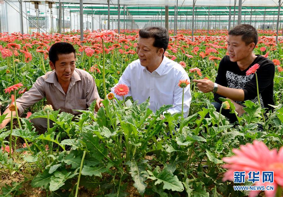 （新華全媒頭條·愛國情 奮斗者·圖文互動(dòng)）（8）致敬，為祖國獻(xiàn)身的英雄！