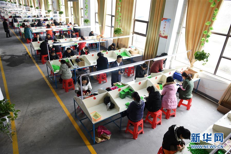 （在習近平新時代中國特色社會主義思想指引下——新時代新作為新篇章·圖文互動）（5）“搬遷到哪里，服務就延伸到哪里”——貴州推進易地扶貧搬遷“后半篇文章” 