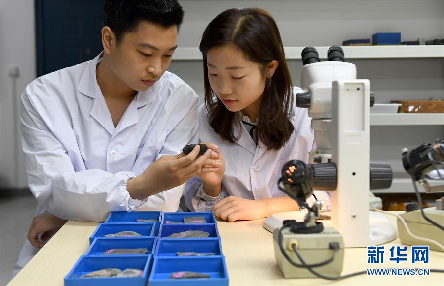 (新華全媒頭條·圖文互動(dòng))(5)探尋5億年前“生命大爆炸”之奧秘——中國(guó)科學(xué)家發(fā)現(xiàn)寒武紀(jì)“化石寶庫(kù)”清江生物群紀(jì)實(shí)