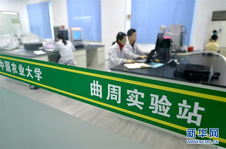 （愛國情 奮斗者·圖文互動）（3） “解民生之多艱，育天下之英才”——中國農大師生扎根田野書寫奉獻之歌