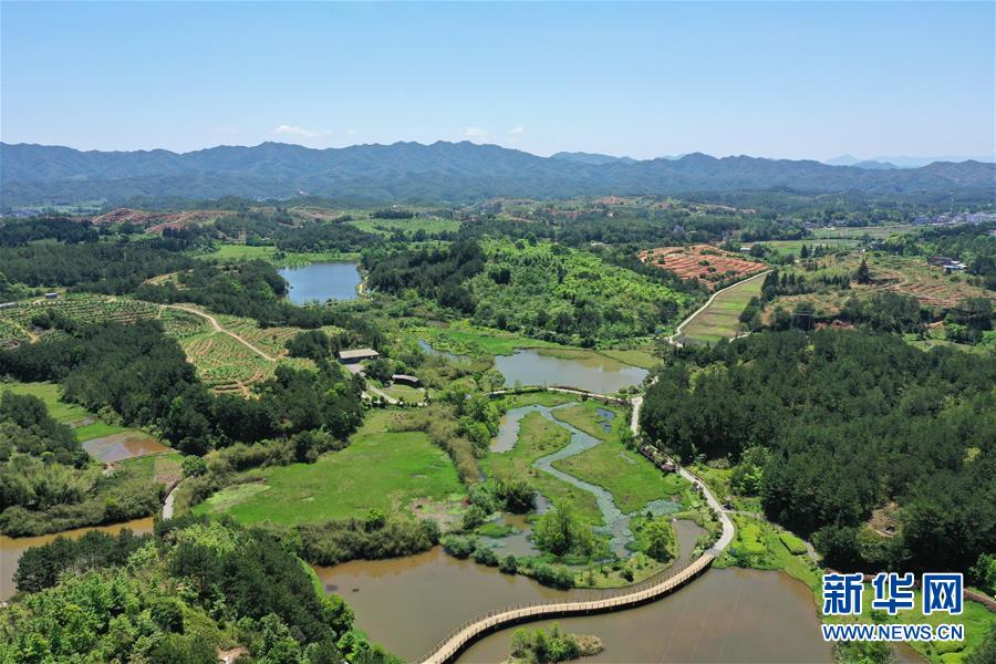 (壯麗70年·奮斗新時(shí)代·圖文互動(dòng))(2)福建長(zhǎng)汀:換顏“山光水濁” 永駐綠水青山