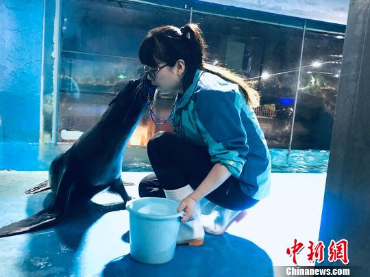 于雅麗與海獅親密瞬間?！“瑧c龍 攝