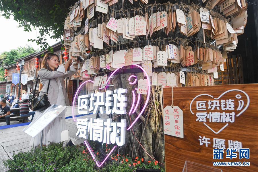 （新華全媒頭條·圖文互動）（9）從“數字中國”看中國發展新信號、新亮點、新趨勢