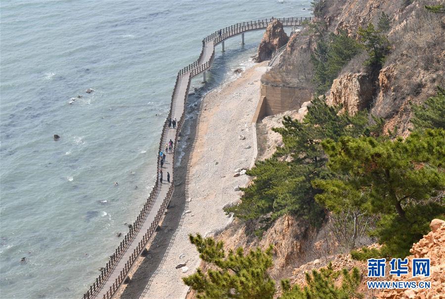 (壯麗70年·奮斗新時代·圖文互動)(2)山東煙臺:念好“海洋經(jīng)” 闊步向深藍