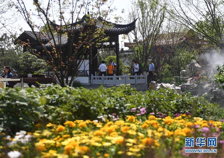 （新華全媒頭條·圖文互動）（2）天人合一、咫尺乾坤：蘇州園林的東方魅力