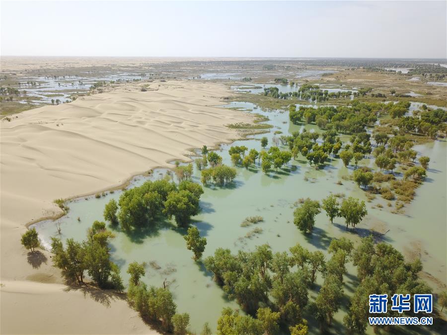 (新華全媒頭條·圖文互動)(3)大河歸來