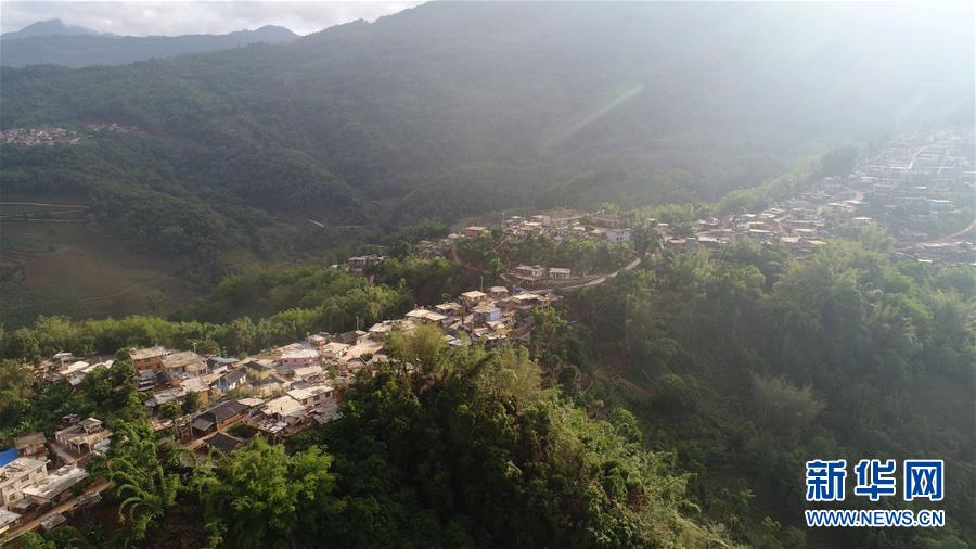 (直過(guò)民族脫貧攻堅(jiān)·圖文互動(dòng))(1)又見(jiàn)白鷴鳥(niǎo)