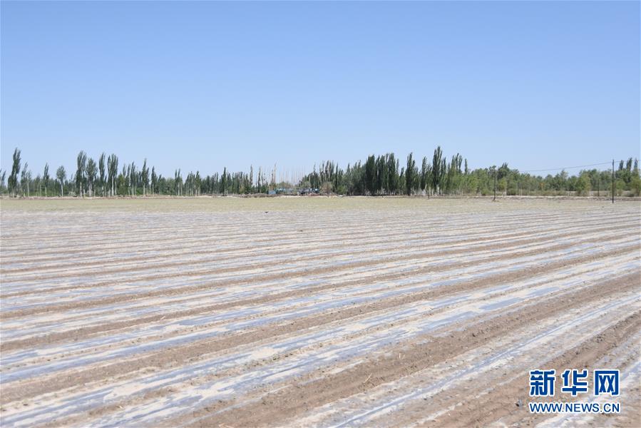 (圖文互動)(3)吐木爾家最后一個農民