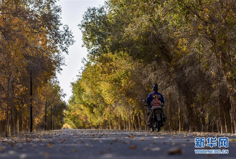 (壯麗70年·奮斗新時(shí)代——共和國(guó)發(fā)展成就巡禮·圖文互動(dòng))(2)鑄劍為犁造綠洲 安邊固疆筑“長(zhǎng)城”——新疆生產(chǎn)建設(shè)兵團(tuán)維穩(wěn)戍邊改革發(fā)展紀(jì)實(shí)