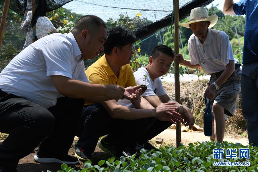 (圖文互動)(3)烏蒙山區扶貧第一書記背后的“老監工”