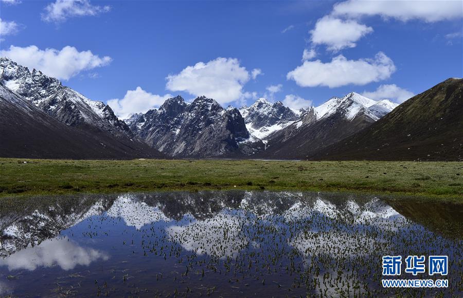(今日關(guān)注·第一屆國(guó)家公園論壇·圖文互動(dòng))(6)首個(gè)國(guó)家公園什么樣?專(zhuān)家?guī)阆?ldquo;睹”為快