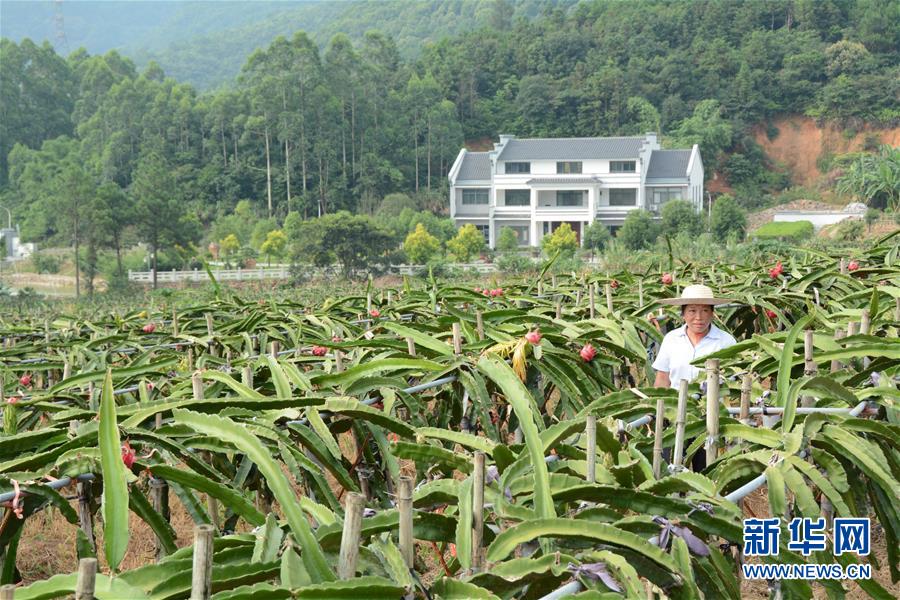 (在習近平新時代中國特色社會主義思想指引下——新時代新作為新篇章·總書記關心的百姓身邊事·圖文互動)(6)大污染變身“大寶藏”:治理畜禽糞污,他們這樣干!