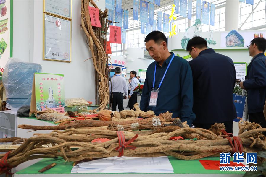 (來自一線的調查報告·圖文互動)(1)甘肅:岐黃肇始地 振興開新方