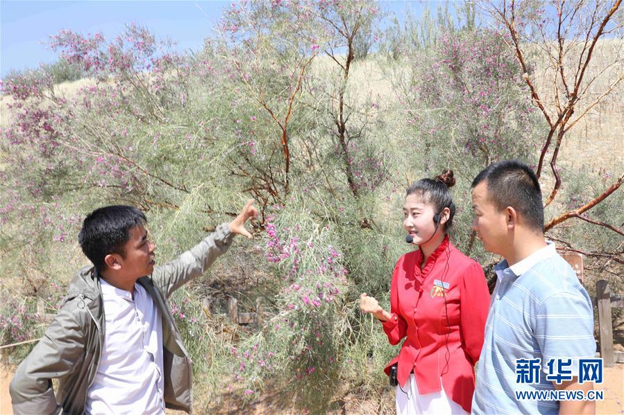 (走讀黃河·圖文互動(dòng))(2)中衛(wèi):33萬(wàn)畝沙區(qū)變灌區(qū)