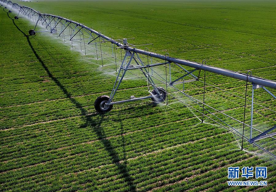(新華全媒頭條·圖文互動)(4)大國糧倉的新時代交響——河南農業70年觀察