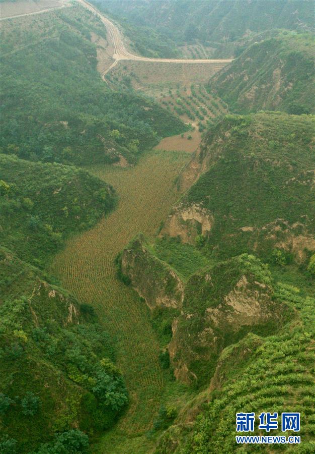 (走讀黃河·圖文互動)(2)攔沙入黃顯“功夫”——黃土高原無定河畔淤地壩見聞