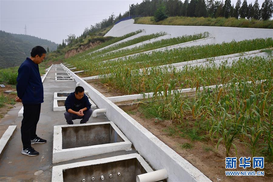 (走讀黃河·圖文互動)(8)攔沙入黃顯“功夫”——黃土高原無定河畔淤地壩見聞